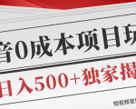 短视频变现套路剖析,抖音0成本赚钱项目玩法,日入500+独家揭秘(共2节视频)-辉硕副业