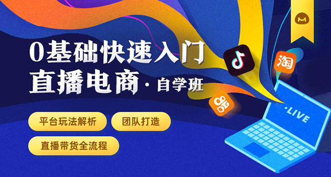 0基础快速入门直播电商课程：直播平台玩法解析-团队打造-带货全流程等环节-辉硕副业
