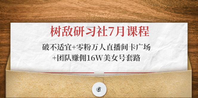 树敌研习社7月课程：破不适宜+零粉万人直播间卡广场+团队赚佣16W美女号套路-辉硕副业
