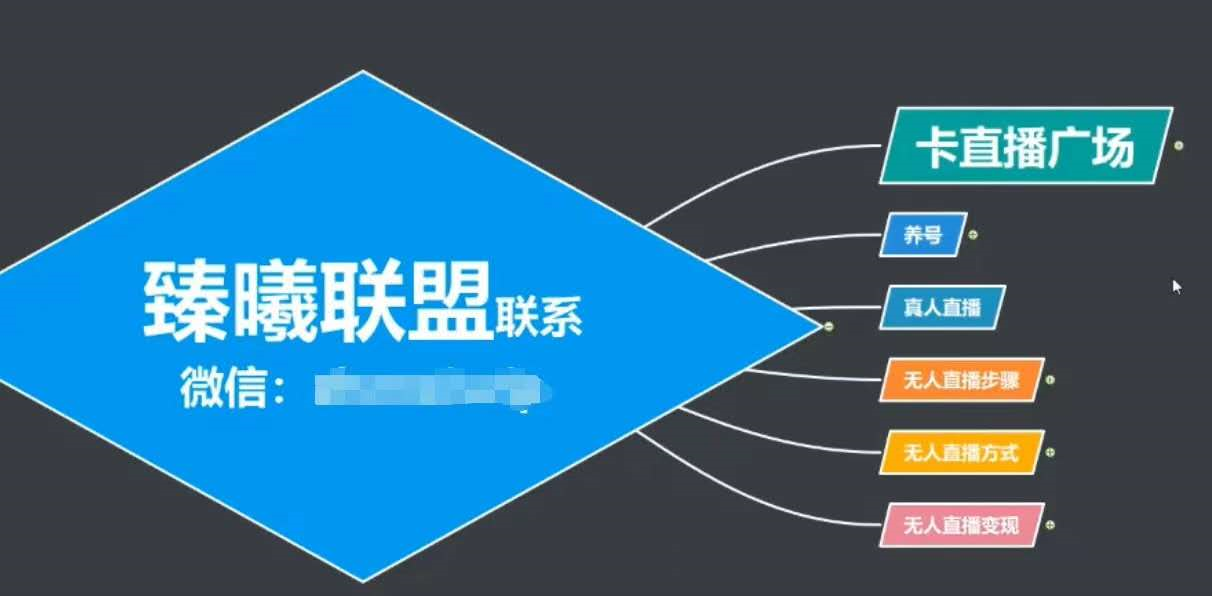 臻曦联盟，最新无人直播万人在线技术理原及详细操作步骤解析（视频教程）-辉硕副业