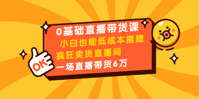 0基础直播带货课：小白也能低成本搭建疯狂卖货直播间：1场直播带货6万-辉硕副业