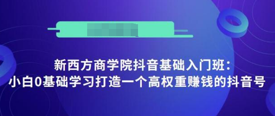 抖音基础入门班：小白0基础学习打造一个高权重赚钱的抖音号-辉硕副业
