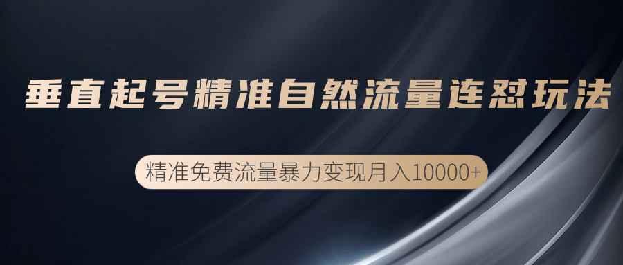 垂直起号精准自然流量连爆玩法，精准引流暴力变现月入10000+-辉硕副业
