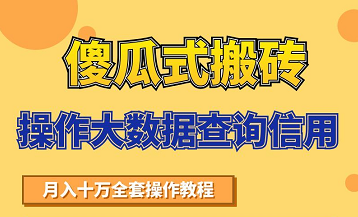 搬砖操作大数据查询信用项目赚钱教程，祝你快速月入6万-辉硕副业
