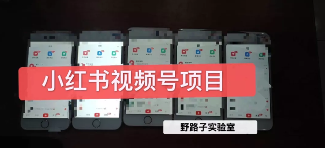 野路子小红书视频号1.0项目，直接上手操作就能赚钱的视频号项目-辉硕副业
