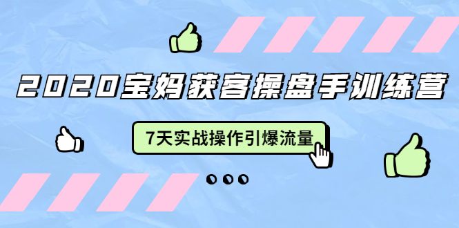 2020宝妈获客操盘手训练营：7天实战操作引爆 母婴、都市、购物宝妈流量-辉硕副业