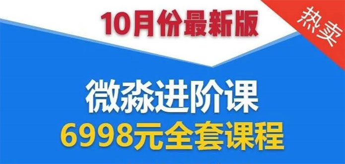 微淼理财进阶课全套视频：助你早点实现财务自由，理论学习+案例分析+实操-辉硕副业