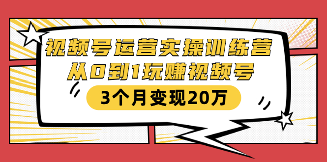 视频号运营实操训练营：从0到1玩赚视频号，3个月变现20万-辉硕副业