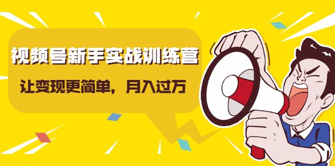 视频号新手实战训练营，让变现更简单，玩赚视频号，轻松月入过万-辉硕副业