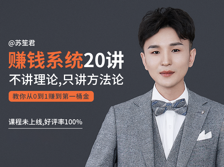 苏笙君的赚钱系统20课 教你从0到1赚到你的第一桶金（不讲理论，只讲方法论）-辉硕副业