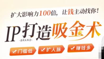 IP打造吸金术：0基础0资源，也能扩大影响力100倍，让钱主动找你！-辉硕副业