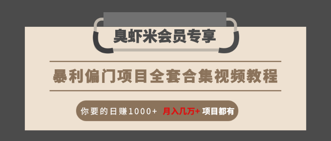 暴利偏门项目全套合集视频教程：你要的日赚1000+月入几万+项目都有-辉硕副业