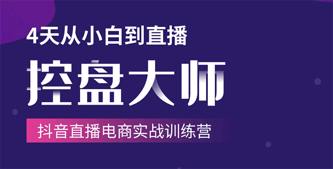 单场直播破百万-技法大揭秘，4天-抖音直播电商实战训练营-辉硕副业