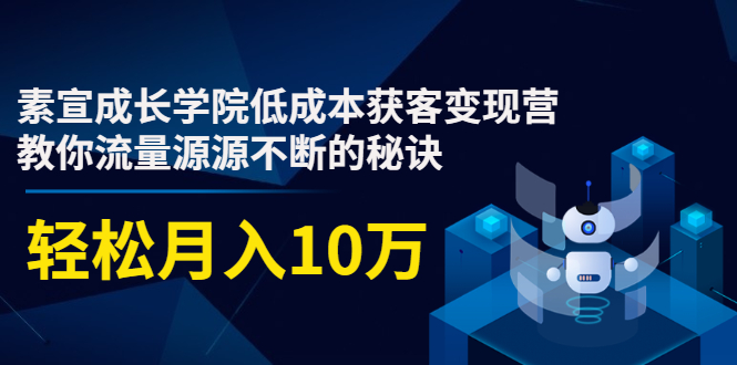素宣成长学院低成本获客变现营，教你流量源源不断的秘诀，轻松月入10万-辉硕副业
