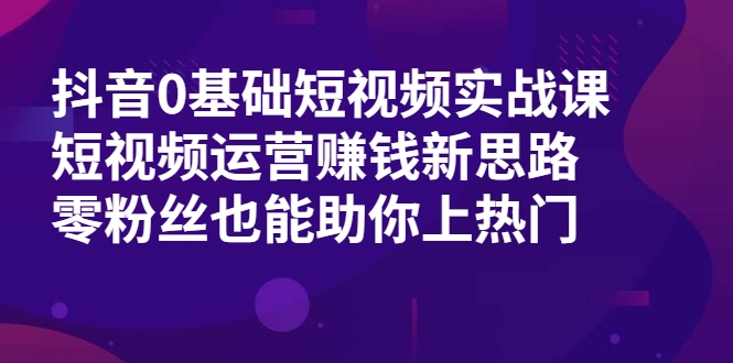 抖音0基础短视频实战课，短视频运营赚钱新思路，零粉丝也能助你上热门-辉硕副业