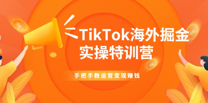 TikTok海外掘金实操特训营：手把手教运营变现赚钱-辉硕副业