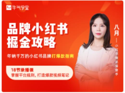 品牌小红书掘金攻略，年销千万的小红书品牌打爆款指南-辉硕副业
