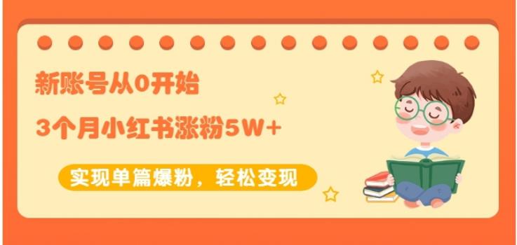 生财小红书涨粉变现：新账号从0开始3个月小红书涨粉5W+实现单篇爆粉-辉硕副业