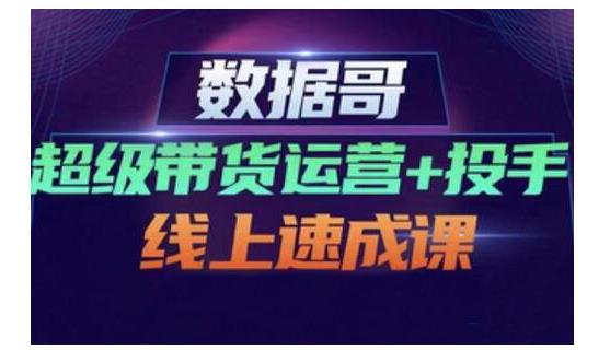 数据哥·超级带货运营+投手线上速成课，快速提升运营和熟悉学会投手技巧-辉硕副业