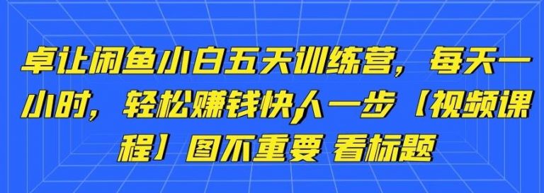 卓让闲鱼小白五天训练营，每天一小时，轻松赚钱快人一步-辉硕副业