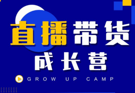 抖商公社直播带货成长营，教你快速通过直播带货变现，抢占直播电商的流量红利-辉硕副业