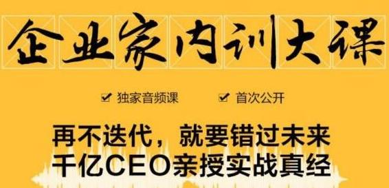 企业家内训大课，未来企业必学经验，价值1299元-辉硕副业