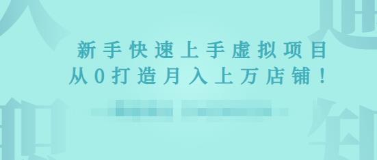 2022年虚拟项目实战指南，新手从0打造月入上万店铺-辉硕副业