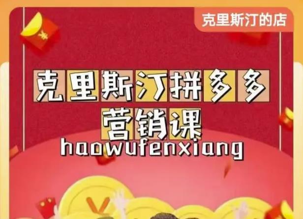 克里斯汀拼多多运营课，适合小白初涉平台，低成本入门-辉硕副业