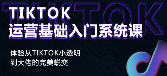 Tiktok实操进阶课程，体验从tiktok小透明到大佬的完美蜕变-辉硕副业