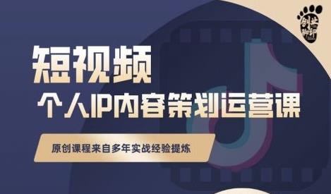 抖音短视频个人ip内容策划实操课，真正做到普通人也能实行落地-辉硕副业