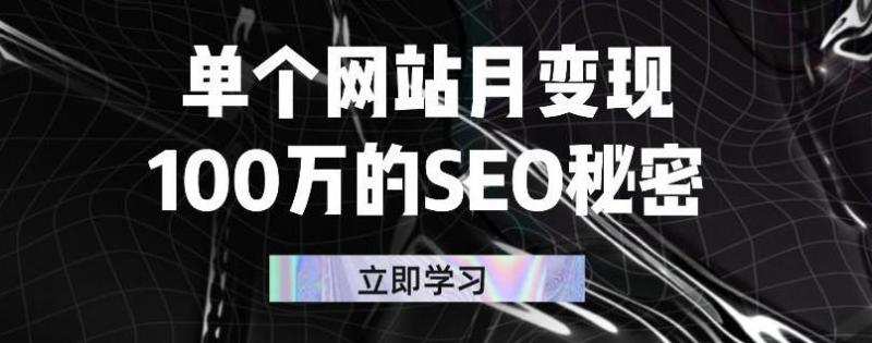 单个网站月变现100万的SEO秘密，百分百做出赚钱站点-辉硕副业