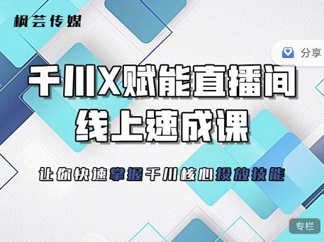枫芸传媒-线上千川提升课，提升千川认知，提升千川投放效果-辉硕副业