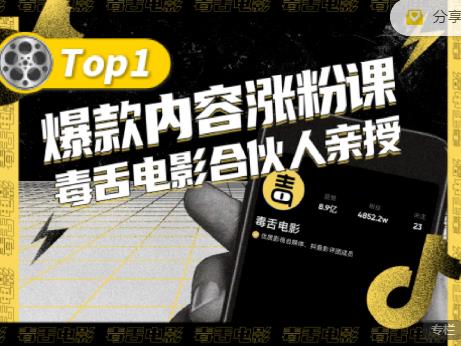 【毒舌电影合伙人亲授】抖音爆款内容涨粉课，5000万抖音大号首次披露涨粉机密-辉硕副业