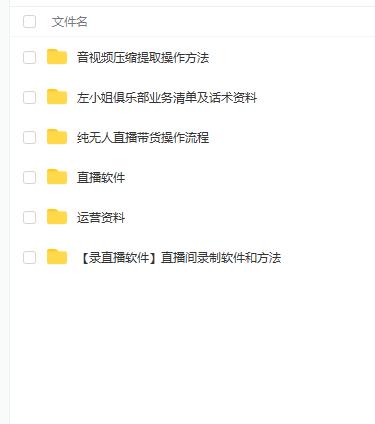 左小姐-直播带货俱乐部十三行、无人直播，全套教程附：工具、文档、话术资料-辉硕副业