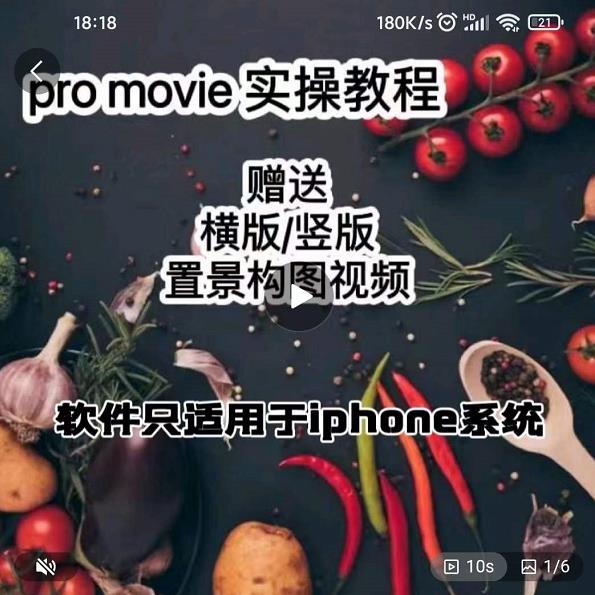 漆十二美食摄影，25​节promovie实操高手课节-辉硕副业