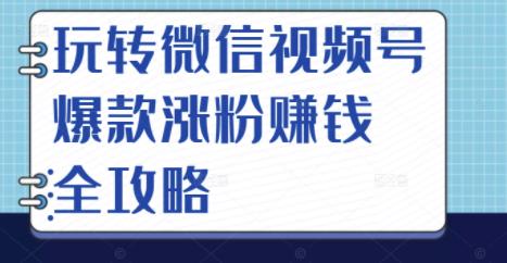 玩转微信视频号爆款涨粉赚钱全攻略，让你快速抓住流量风口，收获红利财富-辉硕副业