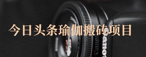 猎人社区·今日头条瑜伽搬砖项目，单号一天几十收入，可以批量操作！-辉硕副业
