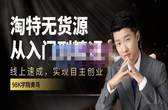 98k学院的淘特无货源线上速成课，从入门到精通，让你最小投入，最高回报-辉硕副业