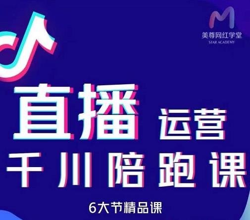 美尊-抖音直播运营千川系统课：直播​运营规划、起号、主播培养、千川投放等-辉硕副业