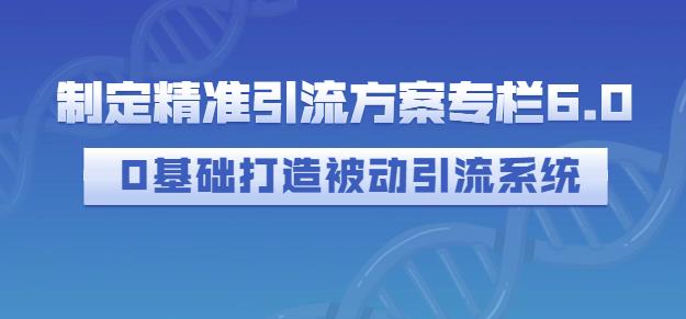 制定精准引流方案专栏6.0，0基础打造被动引流系统-辉硕副业