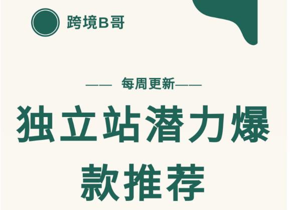 【跨境B哥】独立站潜力爆款选品推荐，测款出单率高达百分之80-辉硕副业