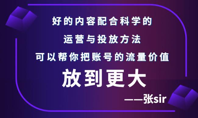 张sir账号流量增长课，告别海王流量，让你的流量更精准-辉硕副业