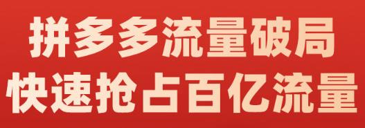 阿杰·拼多多流量破局:如何打黑标，爆款的思路，拼多多流量框架，快速抢占百亿流量-辉硕副业