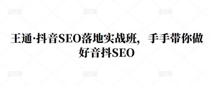 王通·抖音SEO落地实战班，手‬手带你做好音抖‬‬SEO-辉硕副业