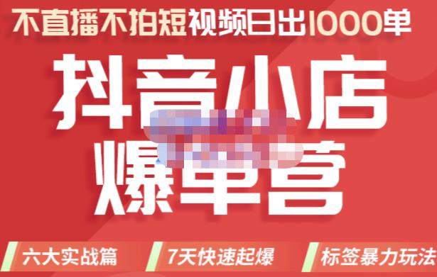 推易电商·2022年抖音小店爆单营，不直播、不拍短视频、日出1000单，暴力玩法-辉硕副业