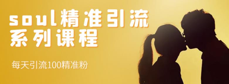 soul精准引流系列课程，每天引流100精准粉-辉硕副业