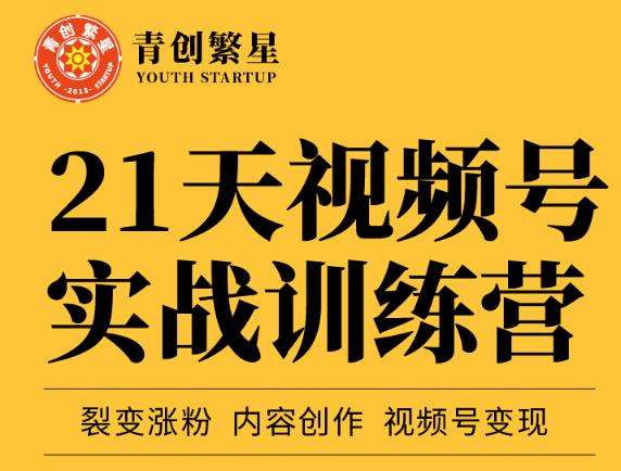 张萌21天视频号实战训练营，裂变涨粉、内容创作、视频号变现 价值298元-辉硕副业