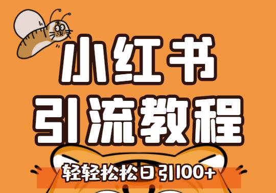 小红书运营引流全系列课程，每天引流100精准粉-辉硕副业