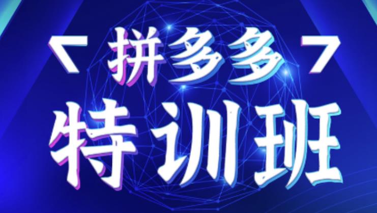 星雪教育·拼多多基础班+进阶班+突破班，用系统的学习模式快速改变现状价值3580元-辉硕副业