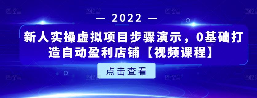 新人实操虚拟项目步骤演示，0基础打造自动盈利店铺【视频课程】-辉硕副业